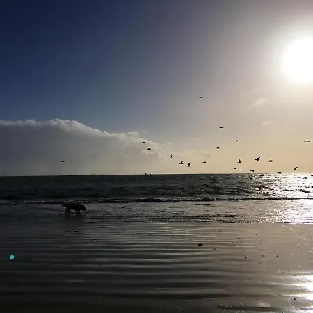 Cosy Avec Piscine Partagee - - 30 M²