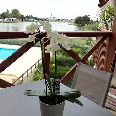 Cosy Avec Piscine Partagee - - 30 M² * Guérande