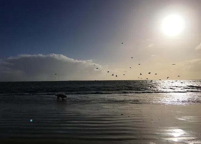 Cosy Avec Piscine Partagée - - 30 M²