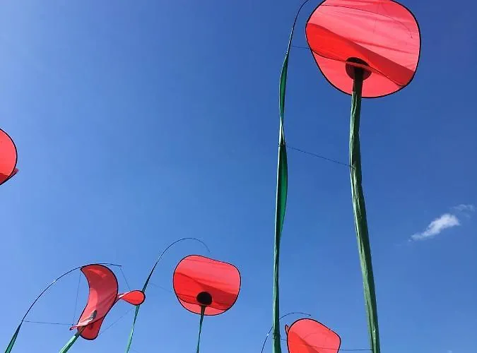 Cosy Avec Piscine Partagée - - 30 M² *